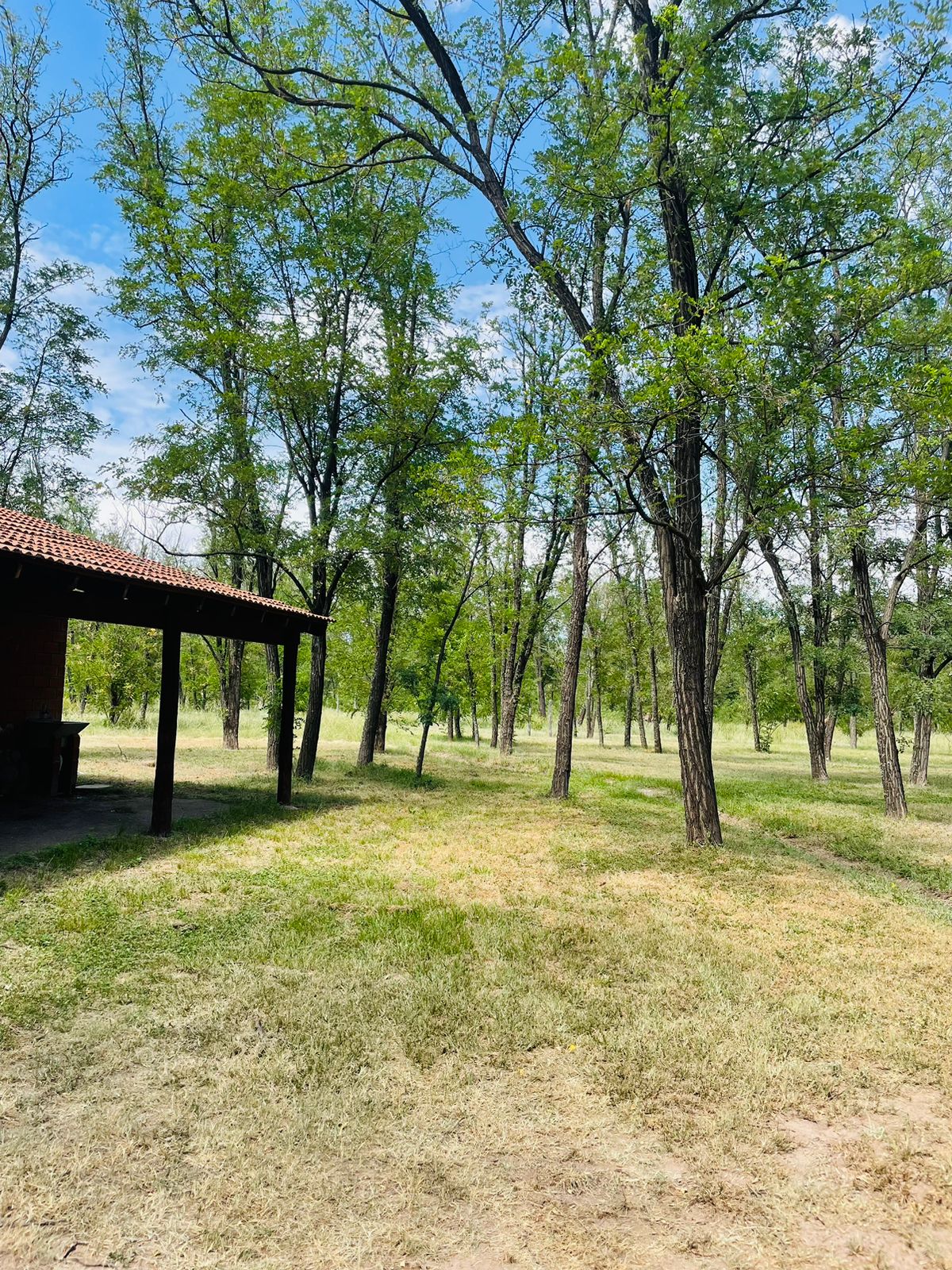 Parque Arbolado