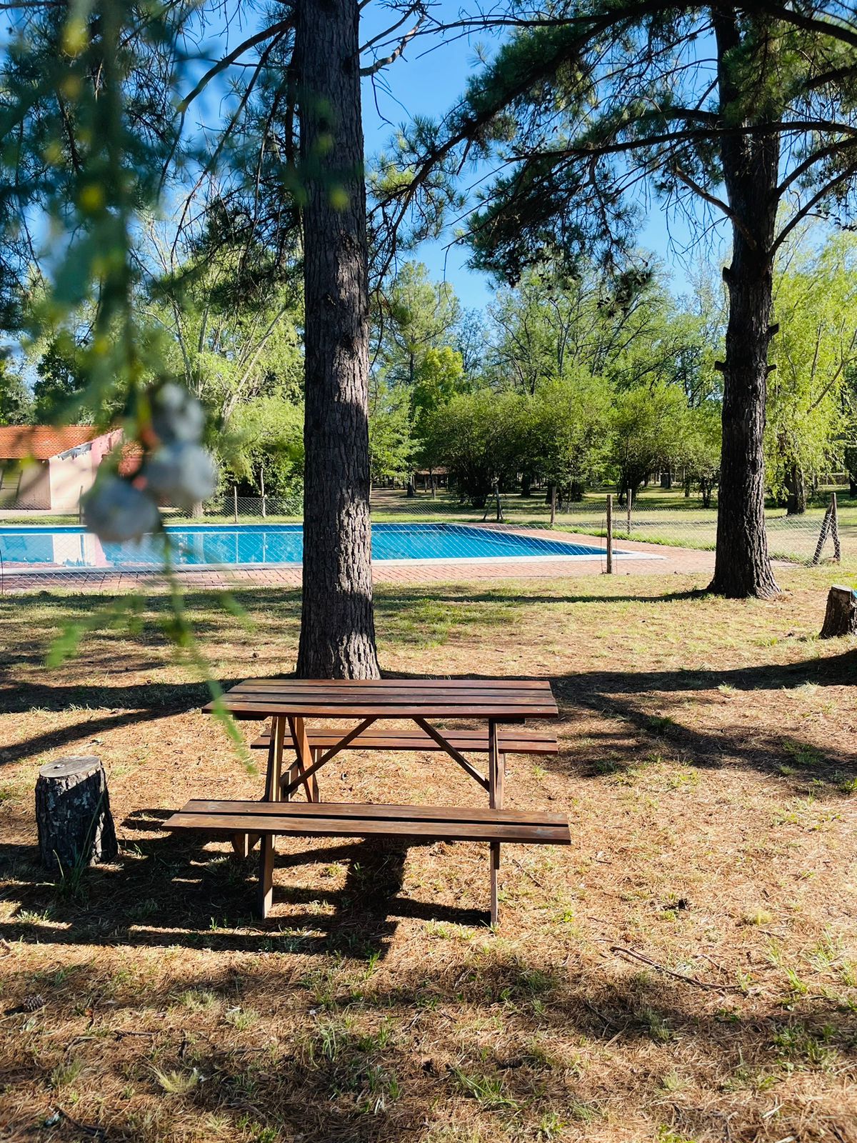 Pileta