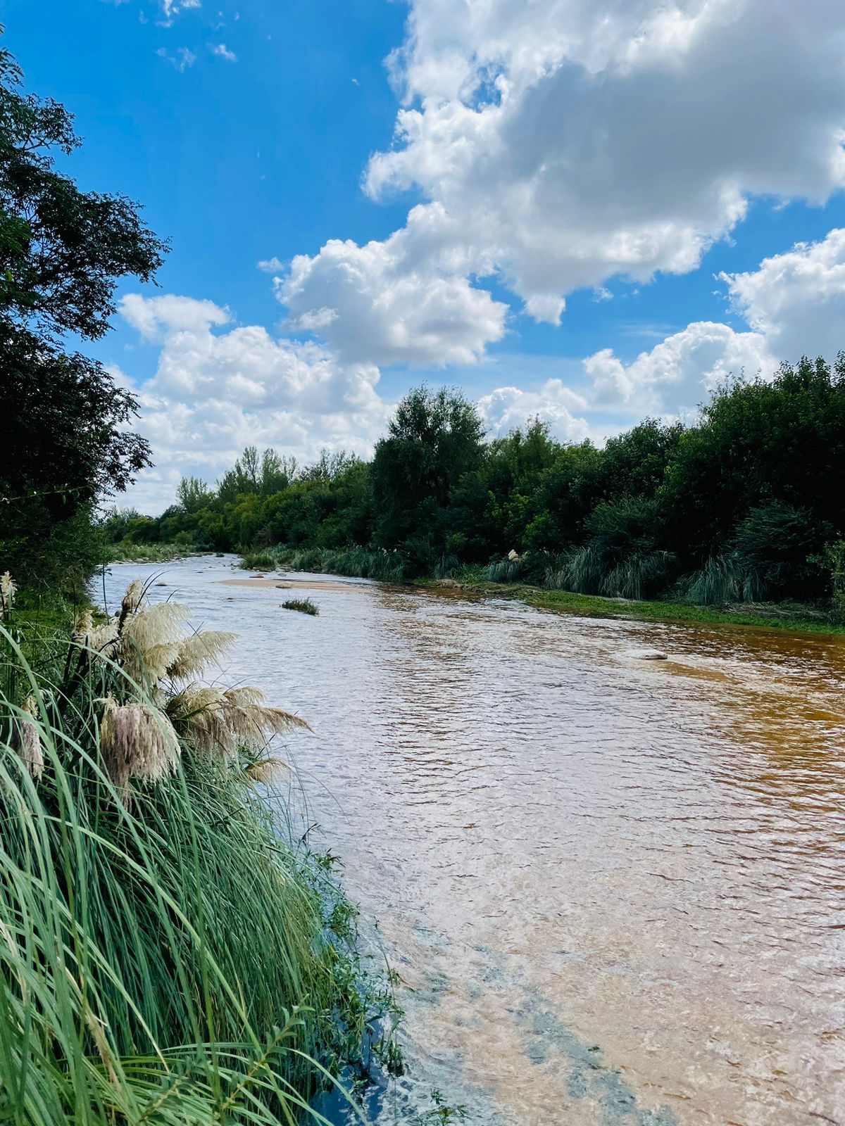 Río Nono